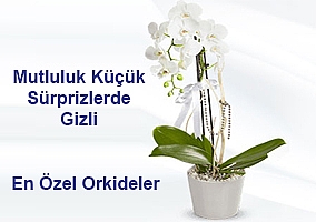 iek