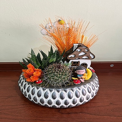 Kakt�s ve sukulent arajman�