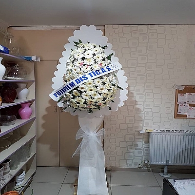 Beyaz gelin duva(elenk)