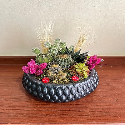 seramik saksda teraryum