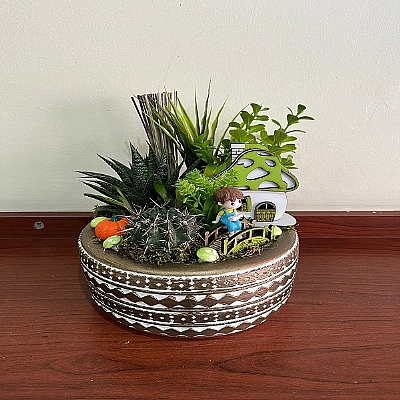 dekoratif teraryum